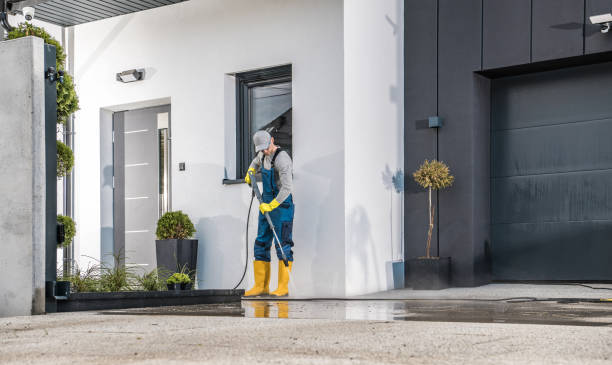 Best Driveway Pressure Washing  in Kotzebue, AK